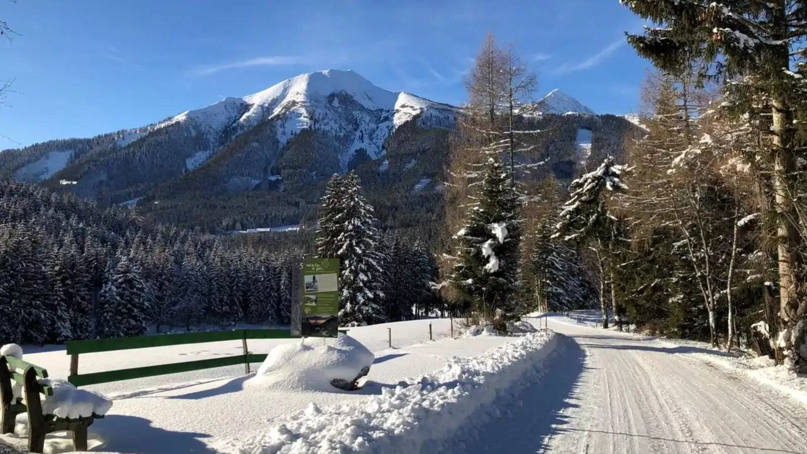 Das Edelweiss-Area within 5km in winter
