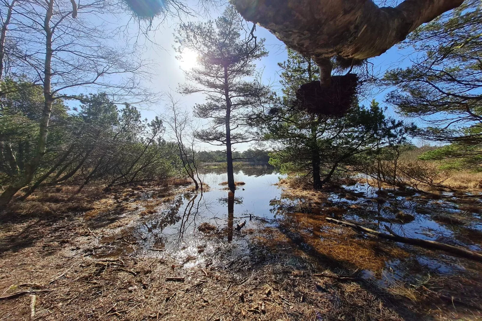 5 Sterne Ferienhaus in Rømø-Wasserblick
