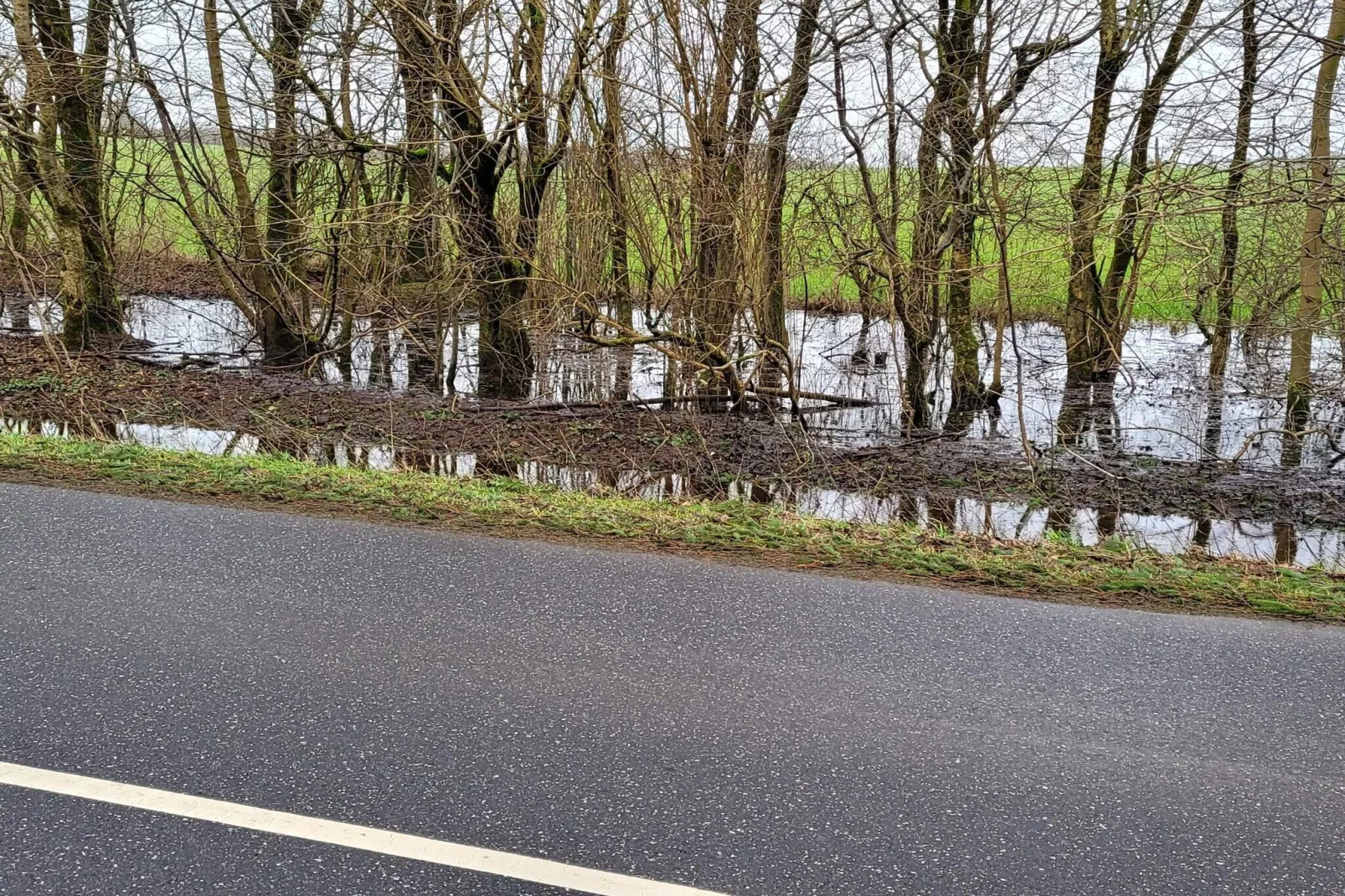 6 person holiday home in Give-By Traum-Untagged