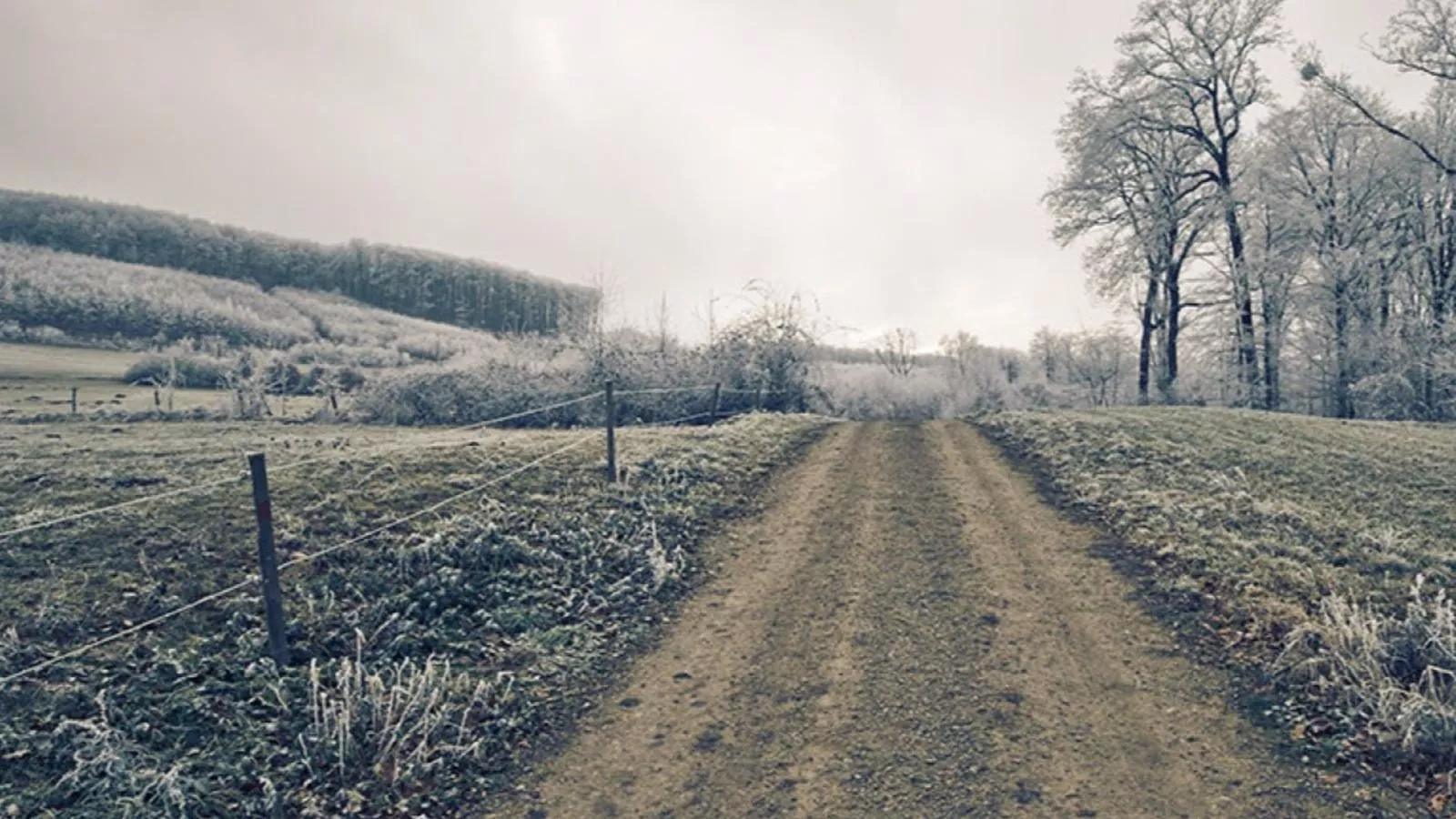 Wienerwaldblick-Zones hiver à 20 km