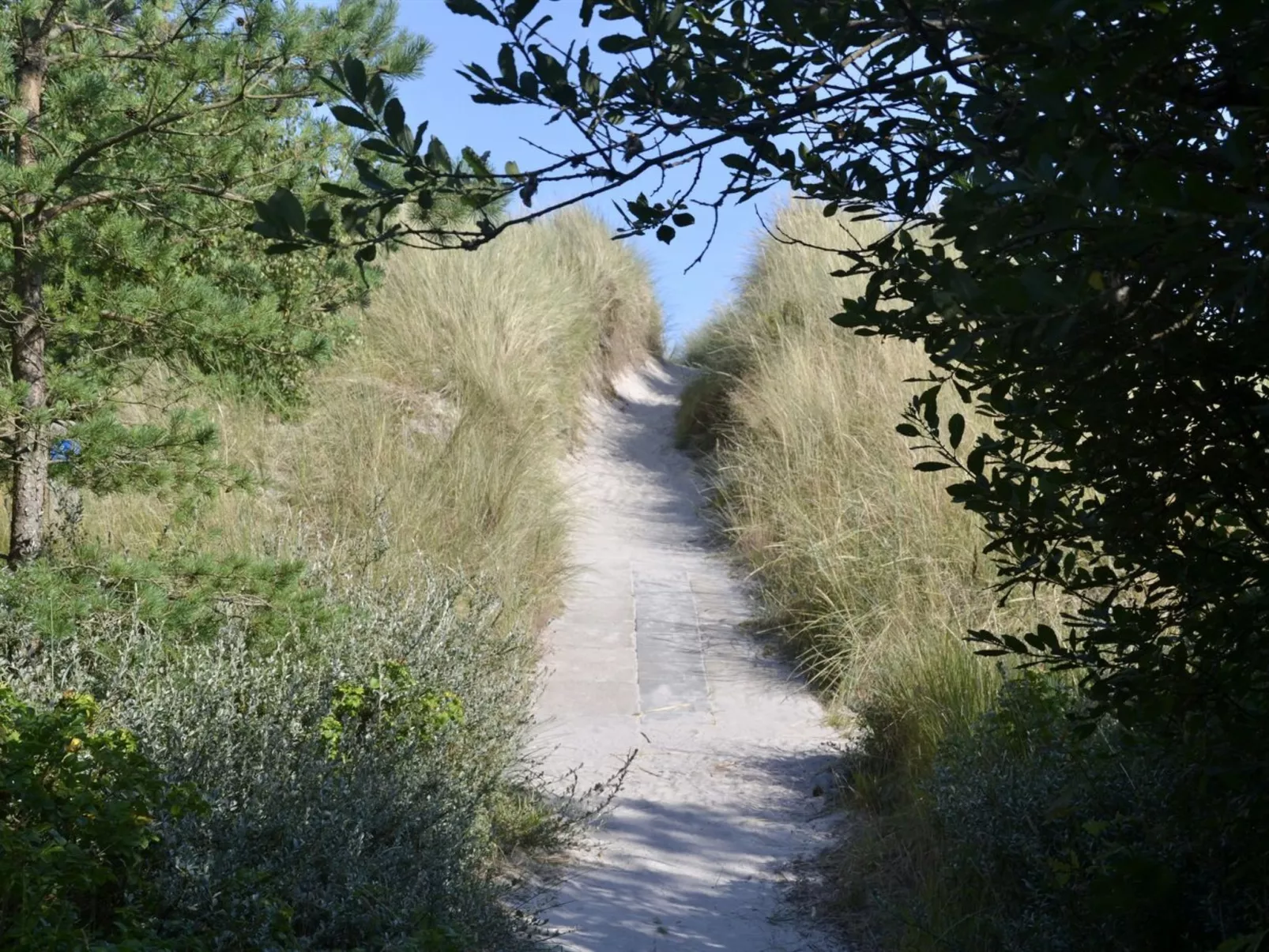 "Jaane" -  from the sea-Dehors