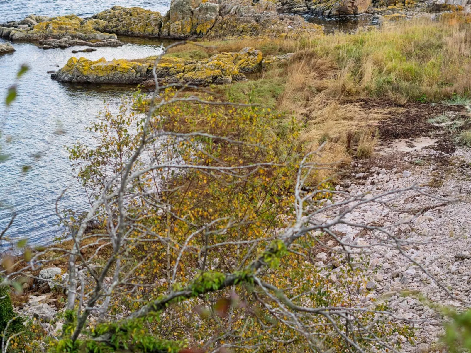 "Caren" - 75m from the sea-Outside