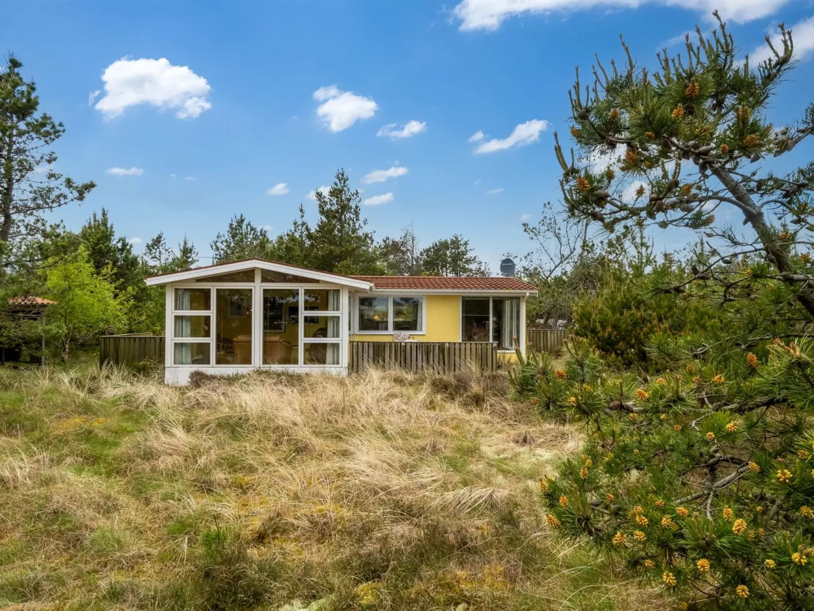 "Kimi" - 75m from the sea-Draußen