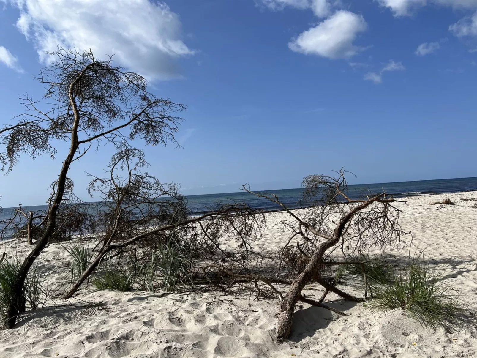 "Sonya" - 350m from the sea-Draußen