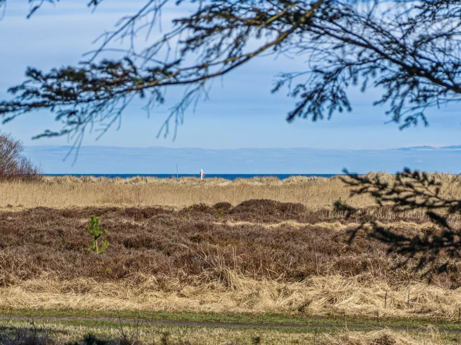 "Laghmund" -  from the sea-Dehors