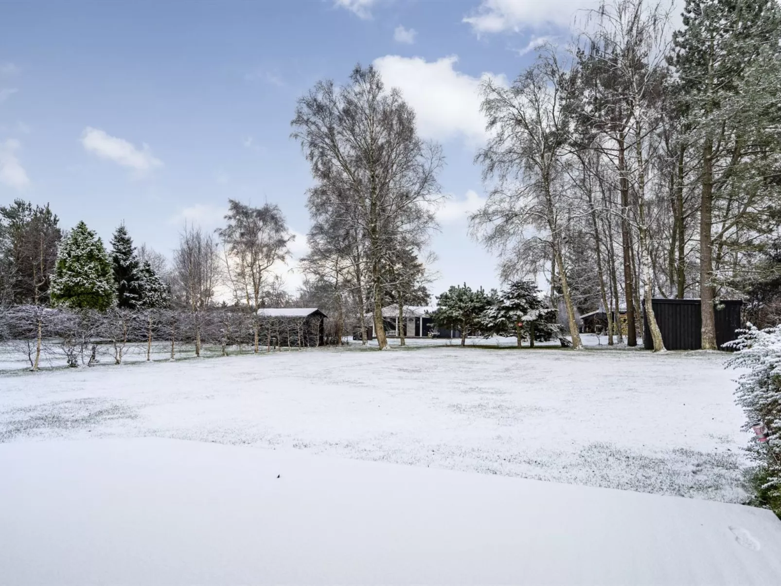 "Evgenia" -  from the sea-Dehors