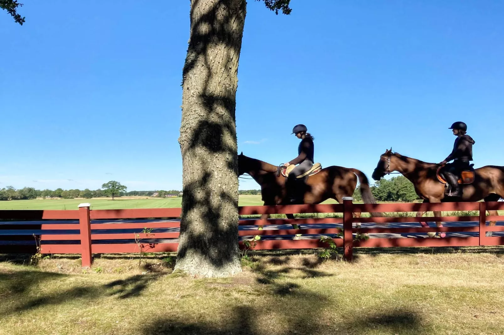4 person holiday home in Hagby-Outdoor