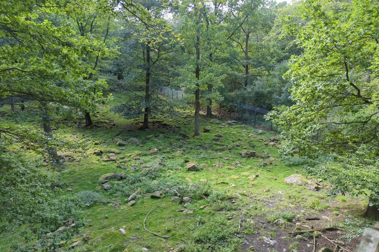 4 person holiday home in Hoor-Untagged