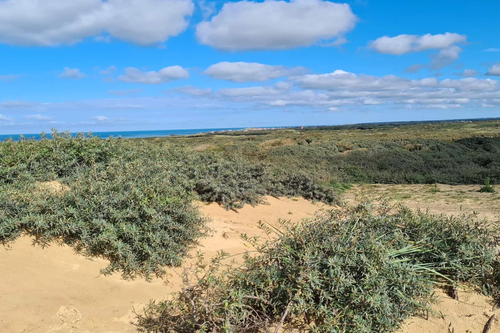 5 etoiles maison de vacances a Løkken-Non tagué