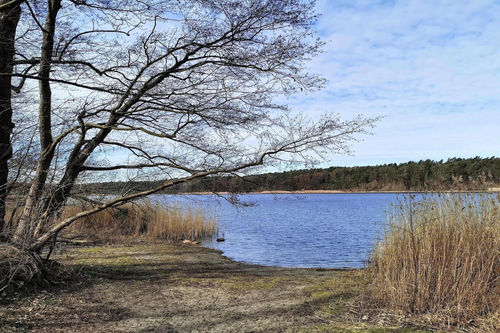 Luxus-Familienappartement / 5 Personen - Gebiete Sommer 1 km