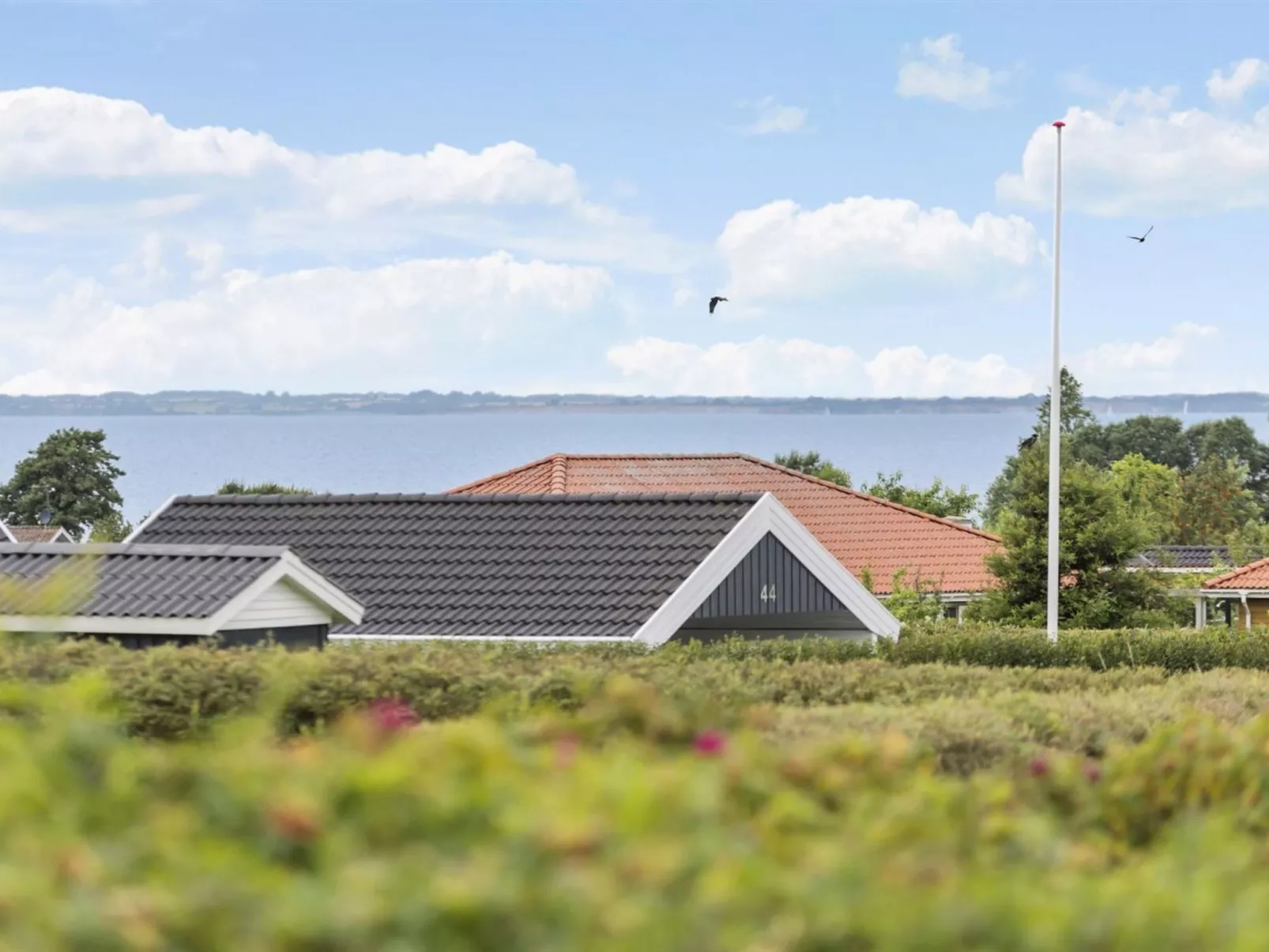 "Alexi" - 300m from the sea-Outside