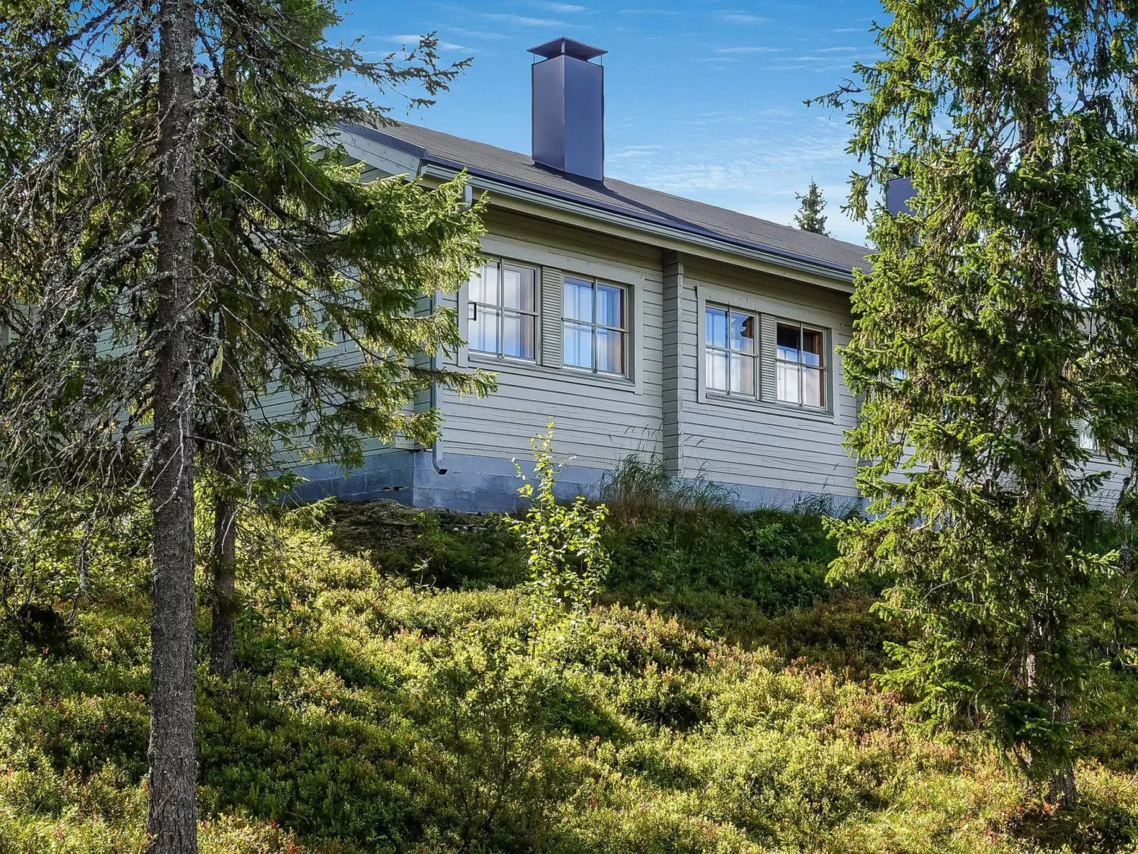 Lupposyöte b1-Inside