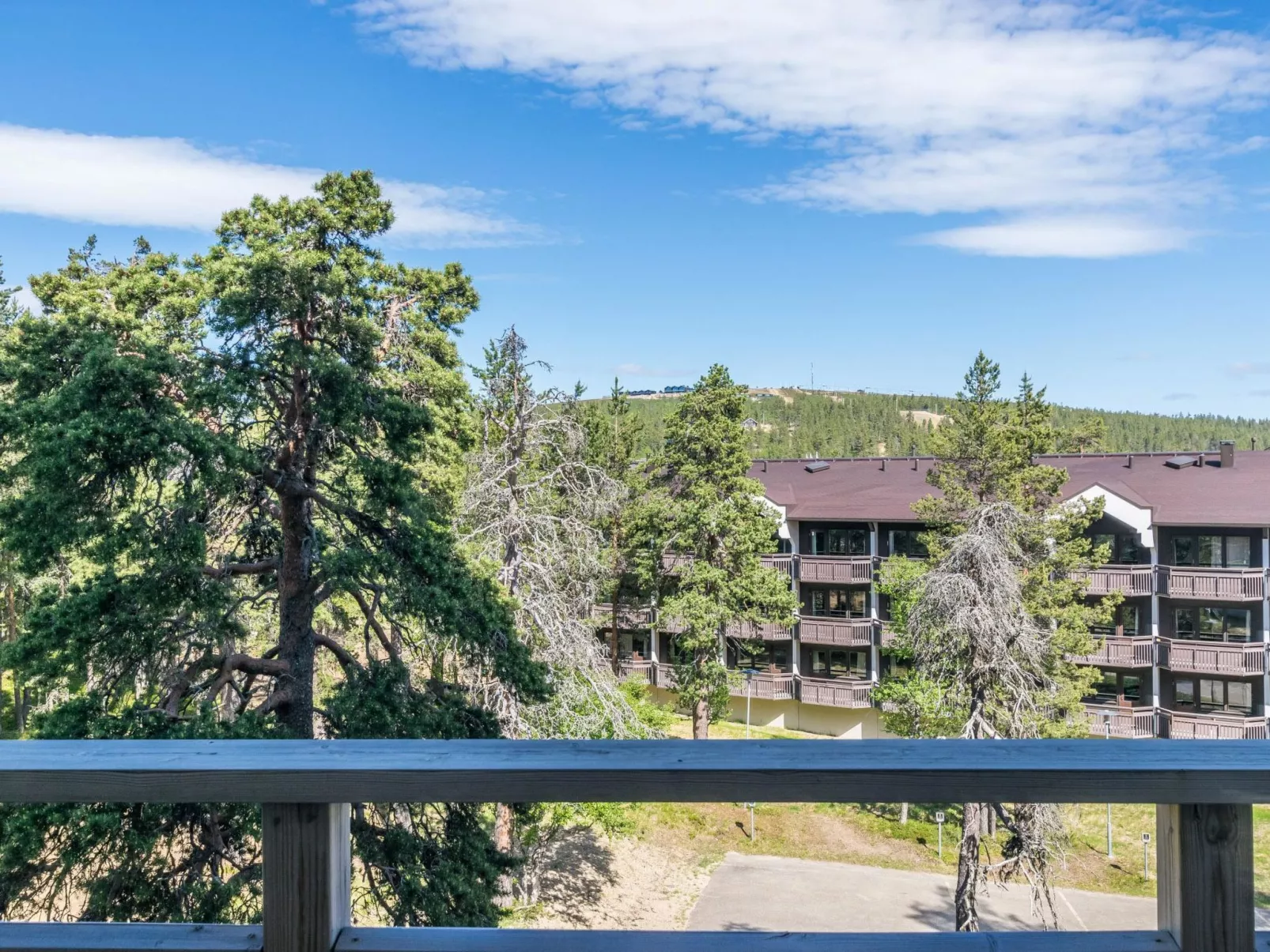 Kelotähti a 23-Drinnen