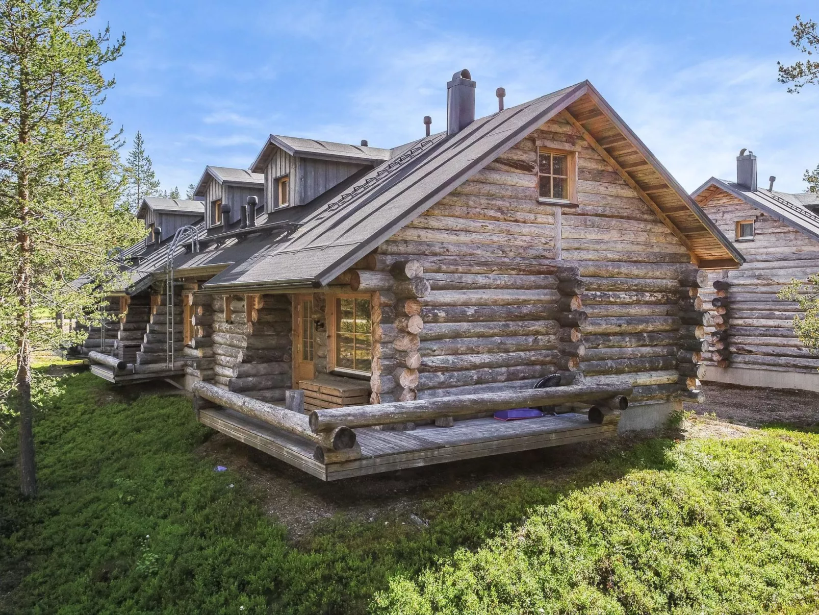 Teerentie / aurora (k 32) / p-Drinnen