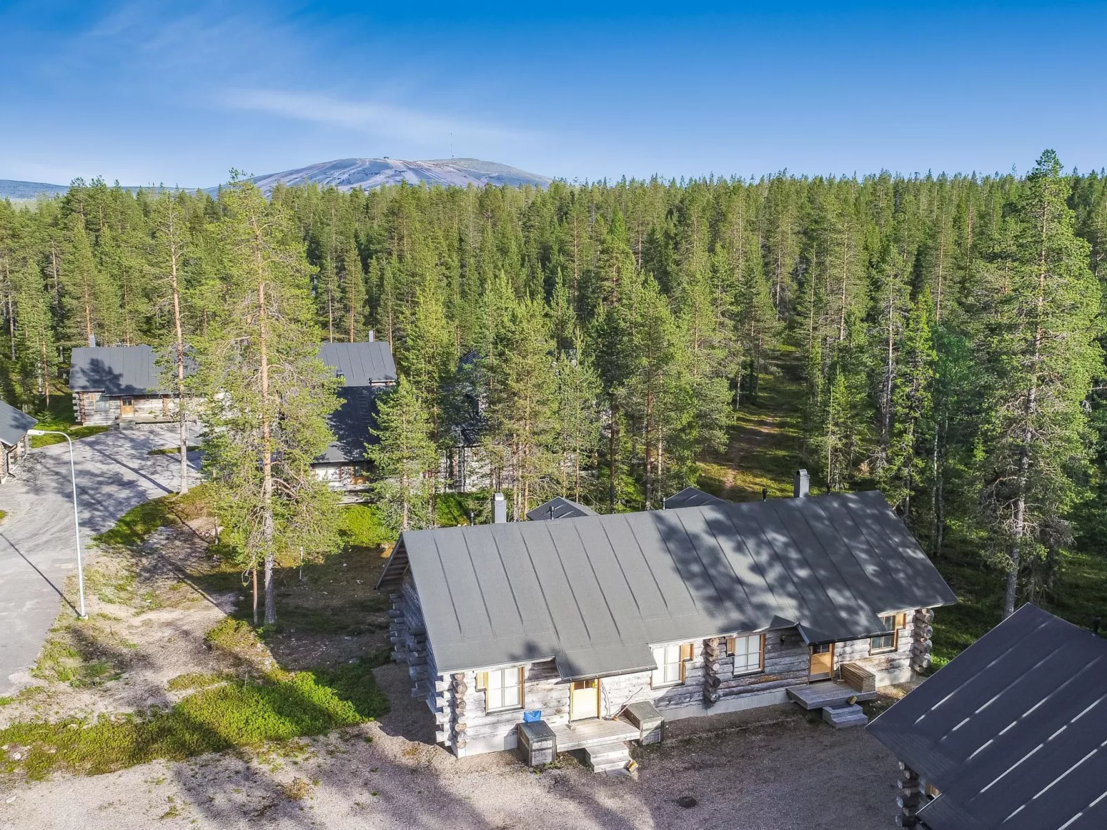 Teerentie / poronpesä (g20)-Inside