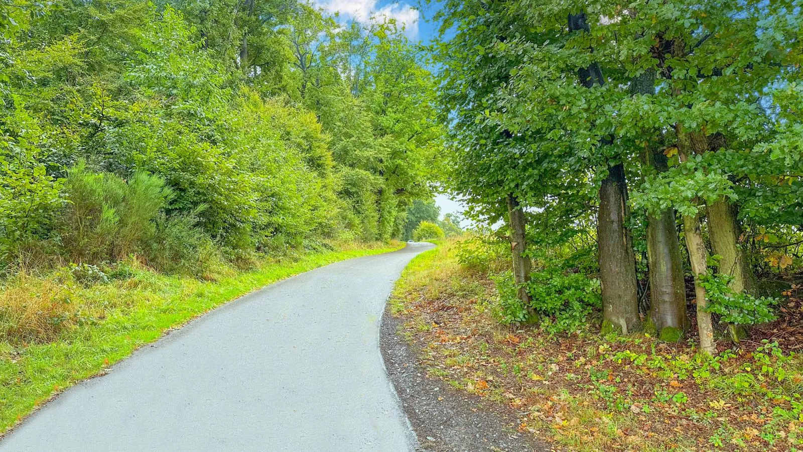 Panoramablick-Zones été à 1 km