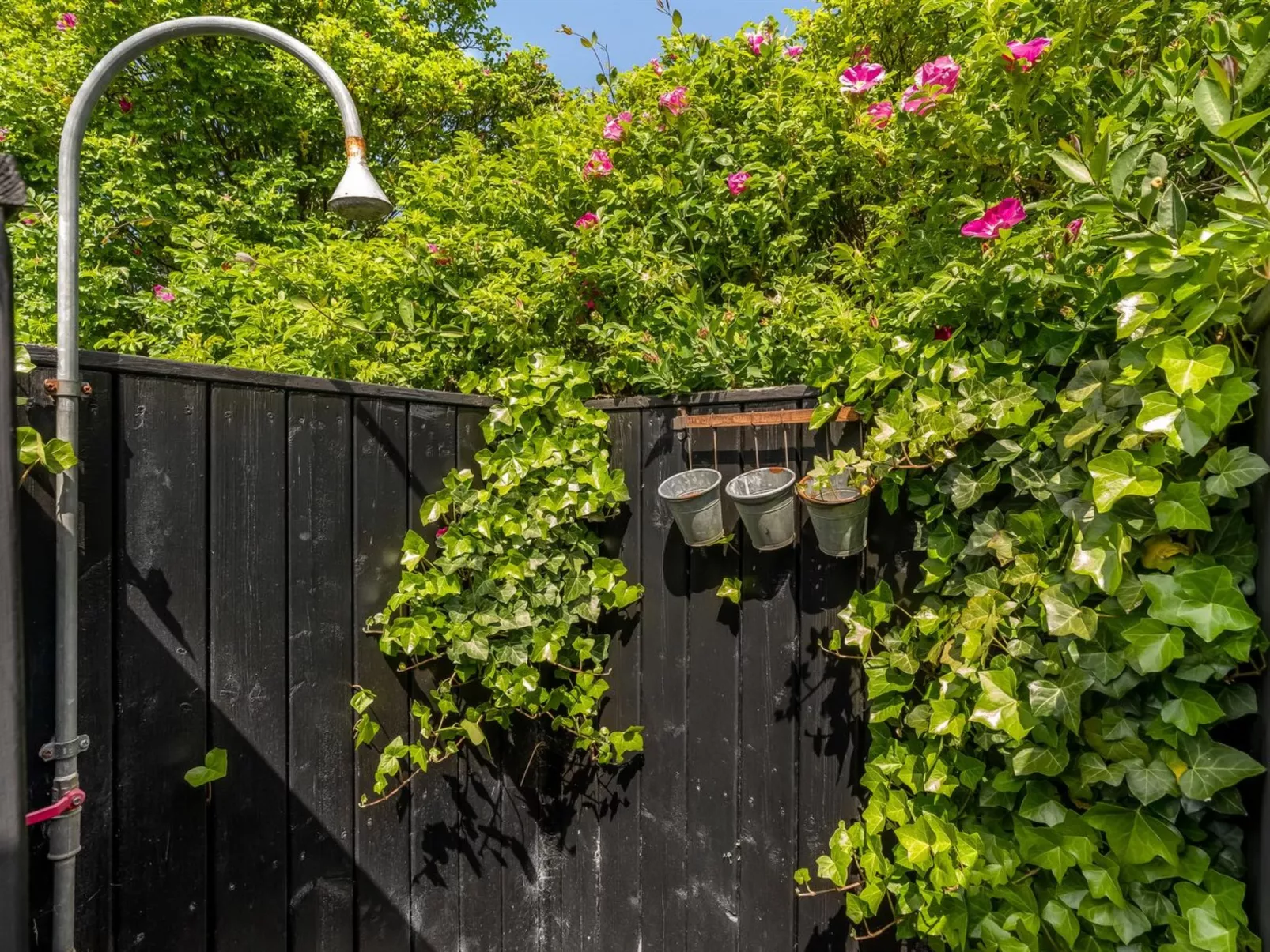 "Annemone" - 900m from the sea-Dehors