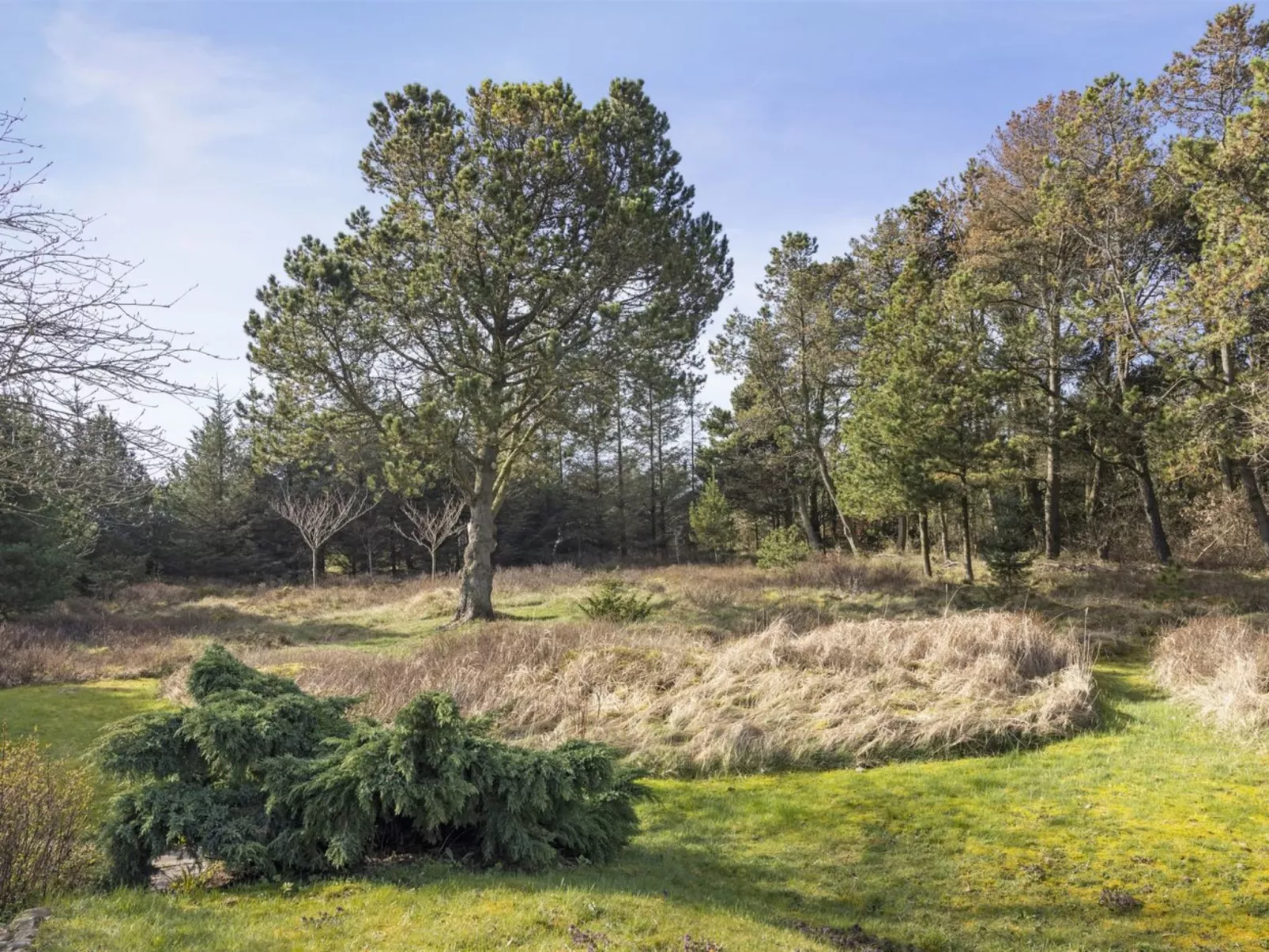 "Feli" - 180m from the sea-Outside