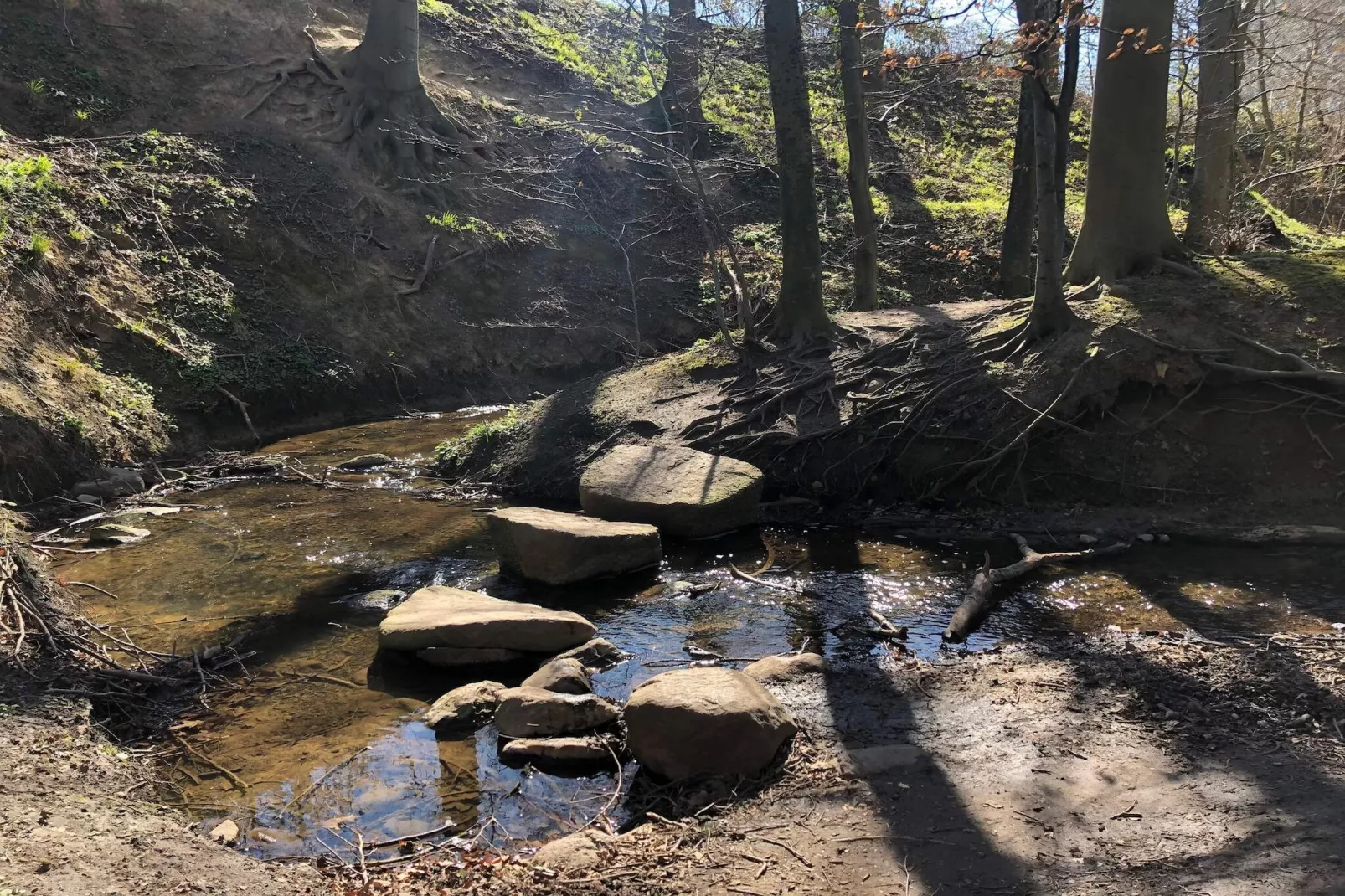 Beautiful cottage near the beach-Untagged