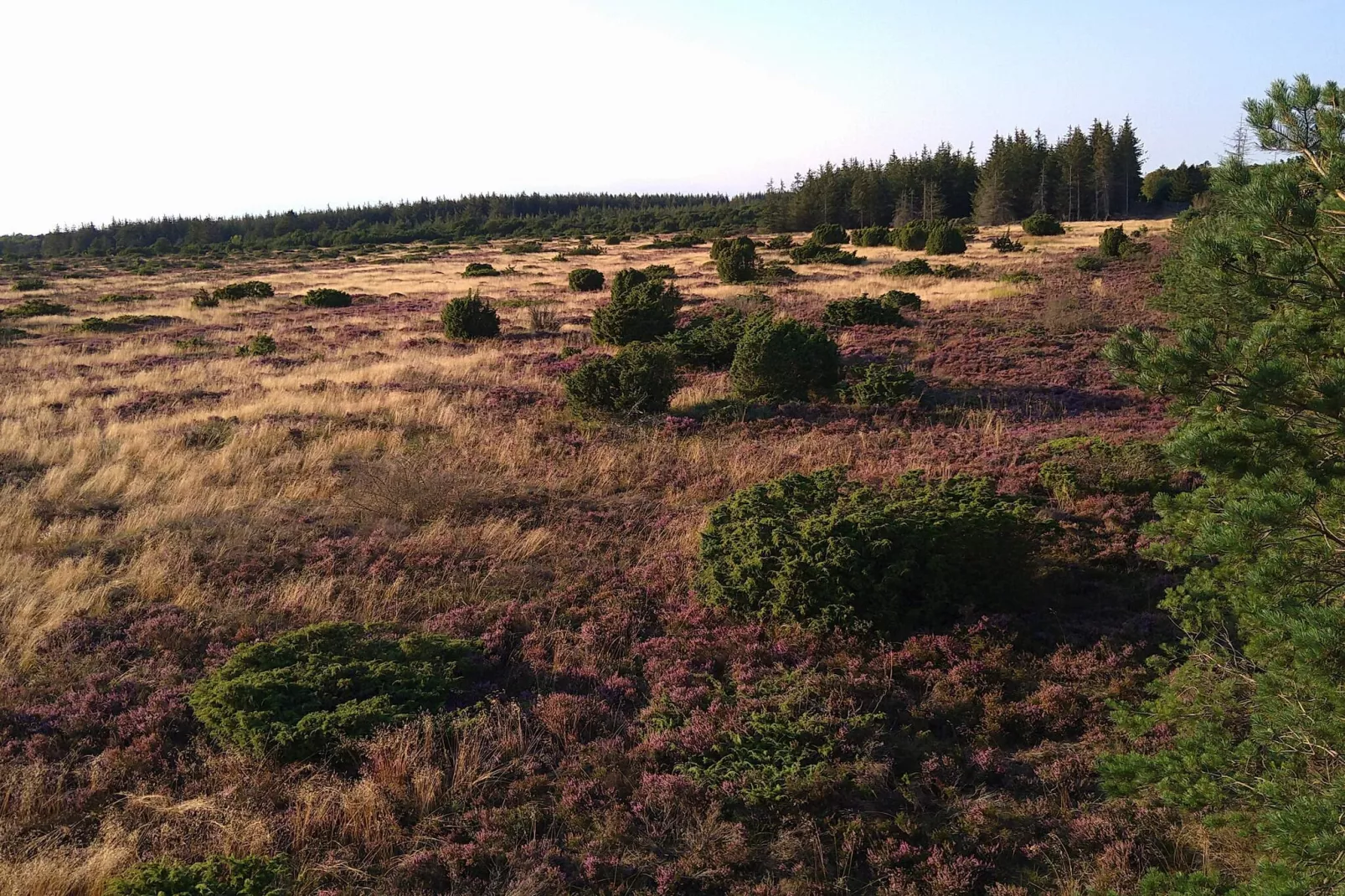 5 Sterne Ferienhaus in Hadsund-Nicht zugeordnet