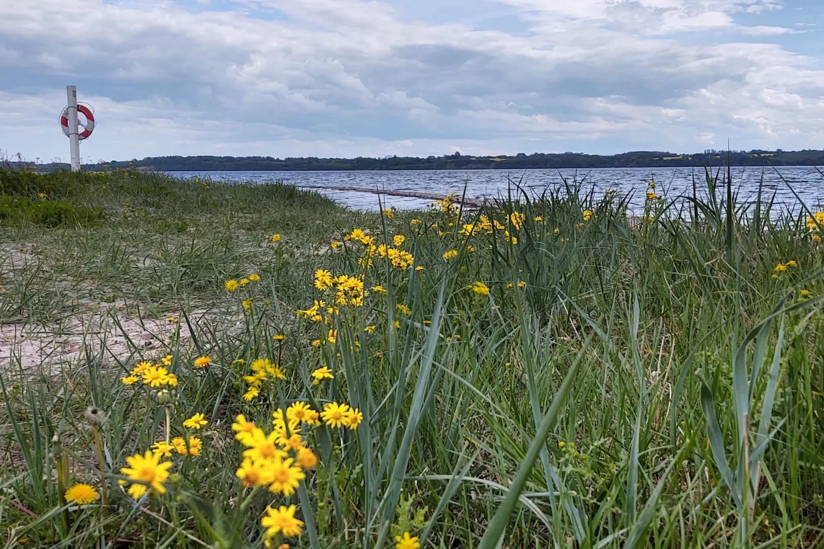 5 Sterne Ferienhaus in Aabenraa-Wasserblick