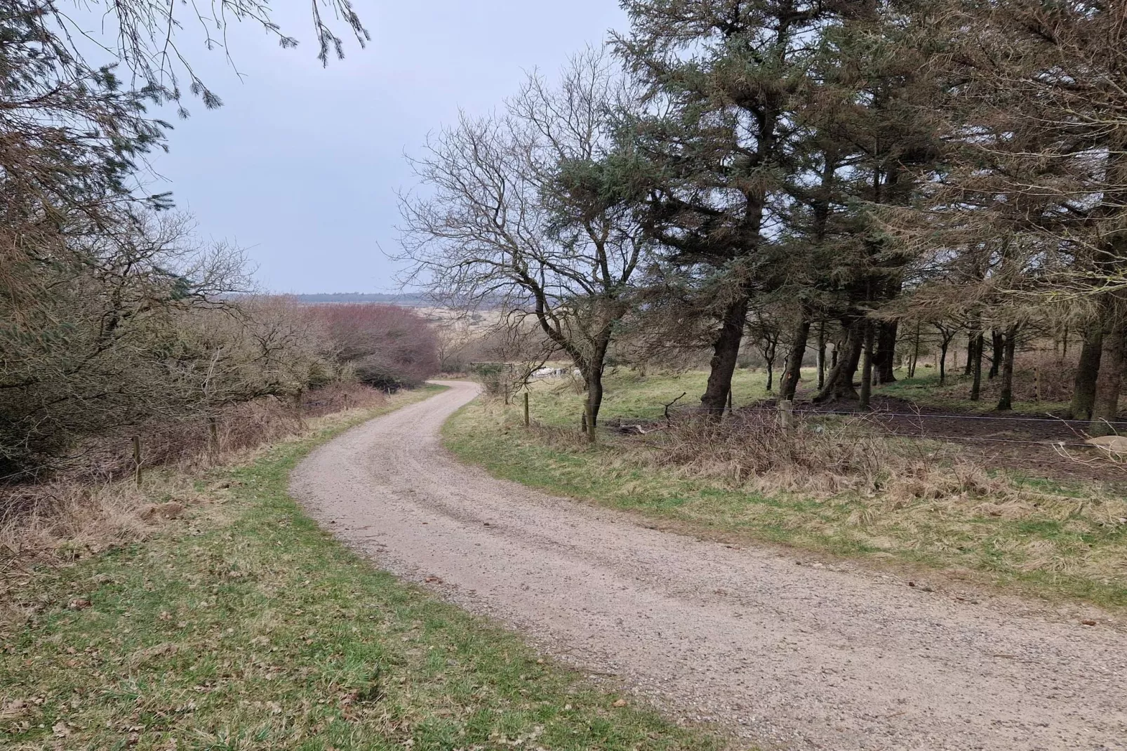 4 star holiday home in Spøttrup-Untagged