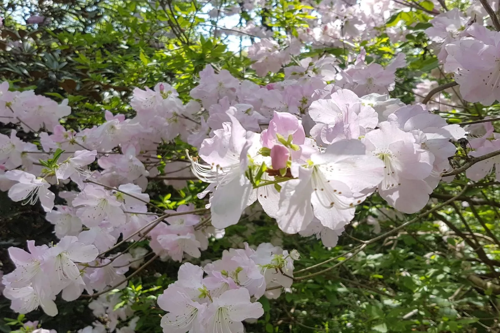 4 etoiles maison de vacances a Vedbæk-Non tagué