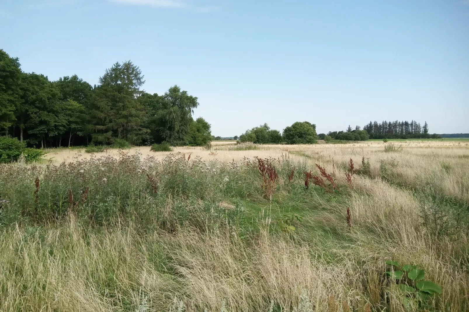 6 person holiday home in Storvorde-Untagged