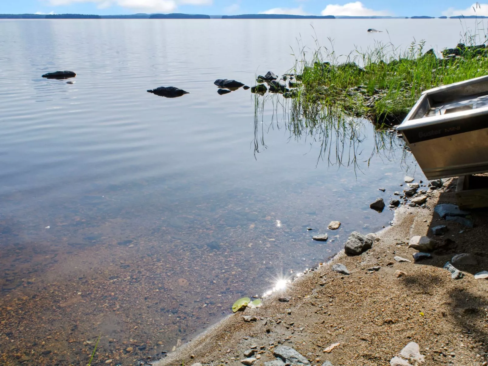 Amero purnu 3-Dedans