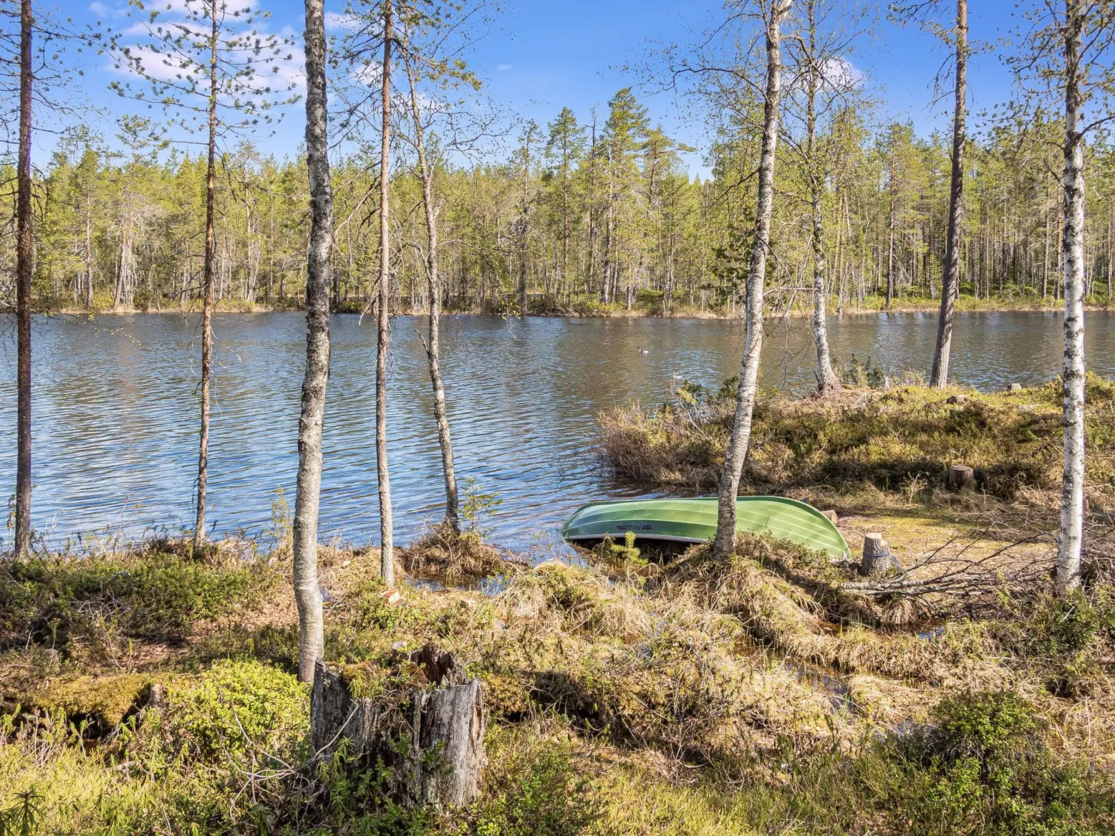 Kiehtäjän virta-Inside