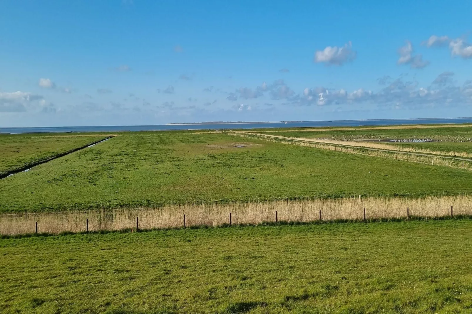 Ferienhaus Mühlenblick 07-Areas within 5km in summer