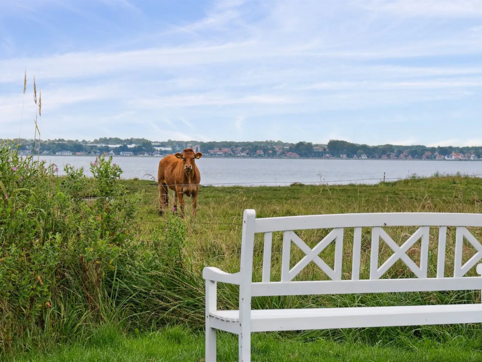 "Thyra" - 50m to the fjord-Draußen