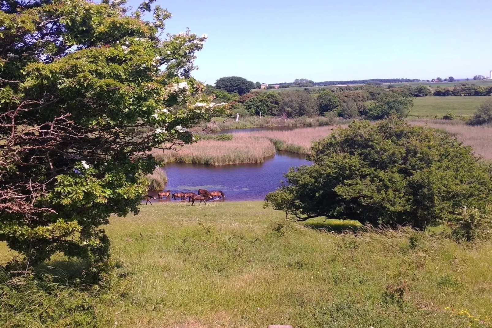 4 star holiday home in Bagenkop-Water view