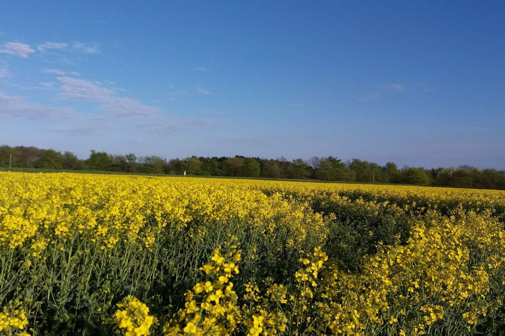 4 etoiles maison de vacances a Jægerspris-Non tagué