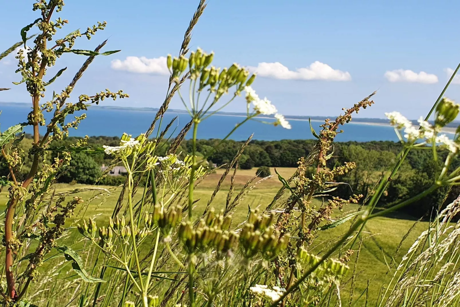 7 person holiday home in Asnæs-Untagged