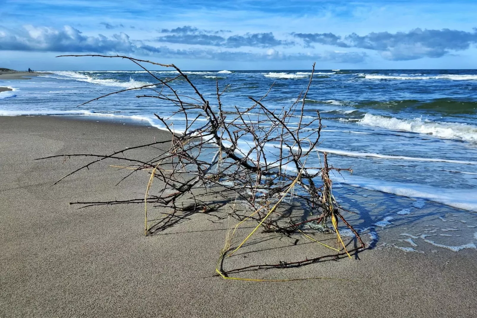 Haus Sonne - Souterrain Fewo - Strandhotel Fischland-Zones été à 5 km