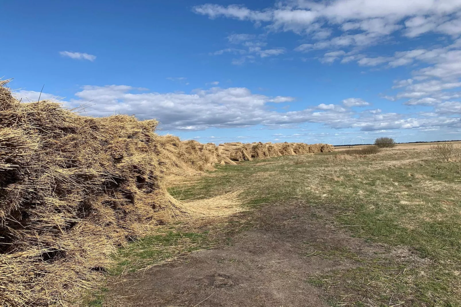 0 Personen Ferienhaus in Hemmet