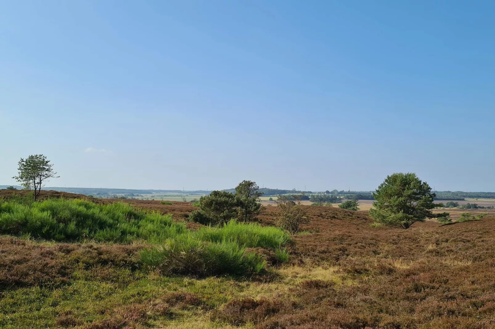 5 star holiday home in Farsø-Untagged