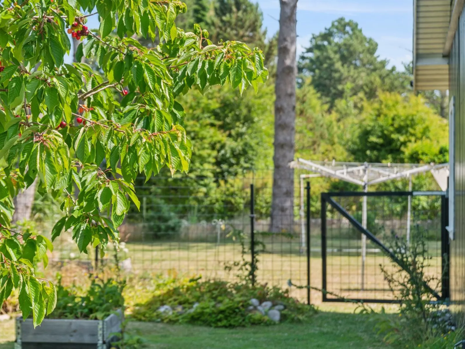 "Botwith" - 125m from the sea-Dehors