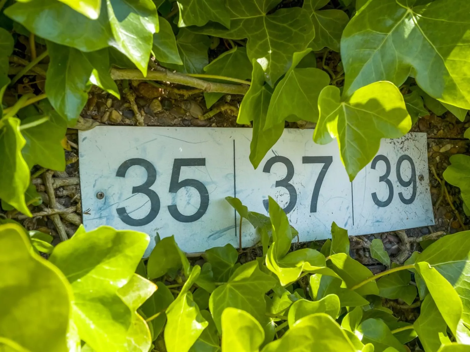 "Sibyll" - 2km from the sea-Draußen