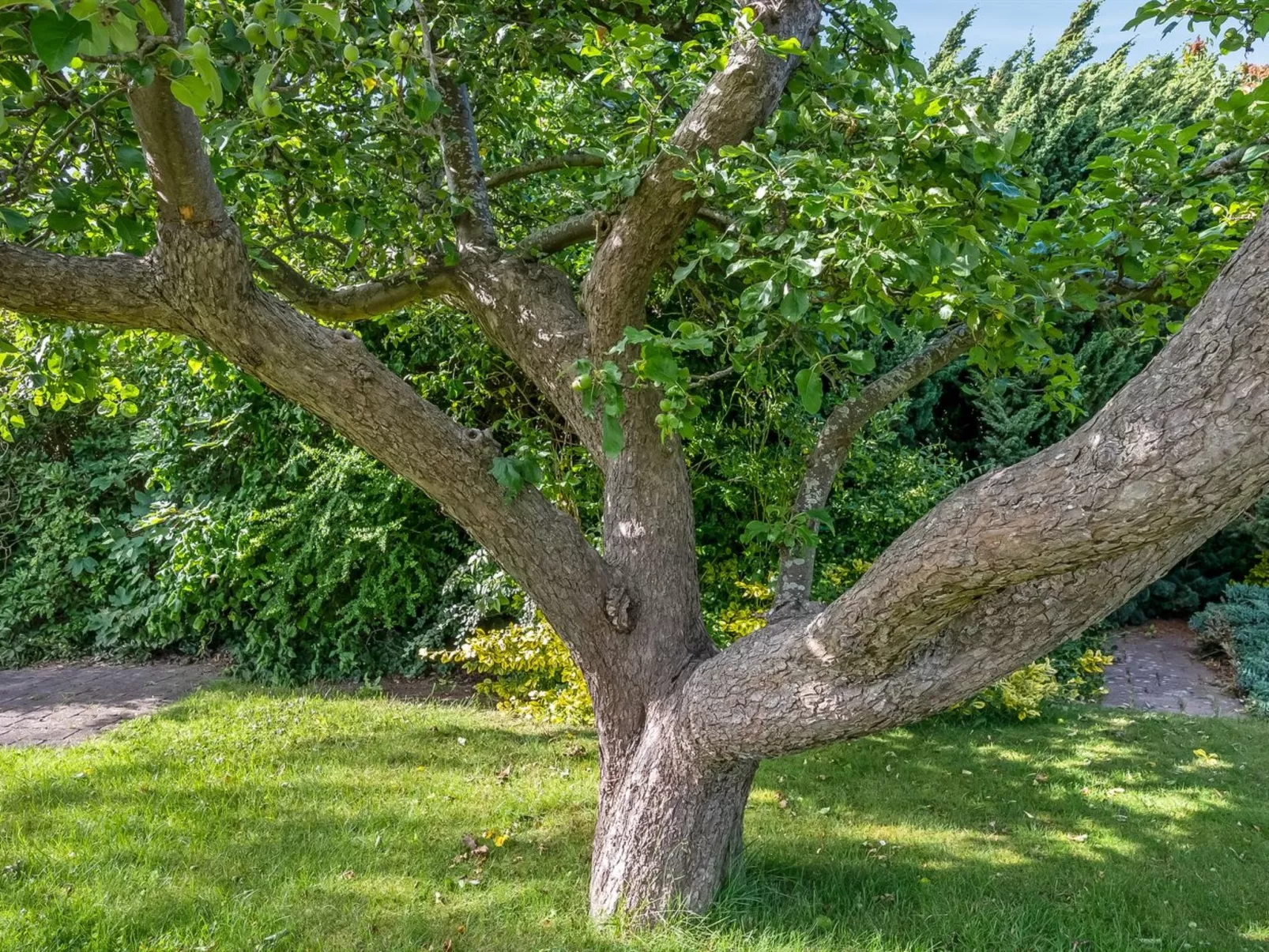 "Sampsa" - 75m from the sea-Outside