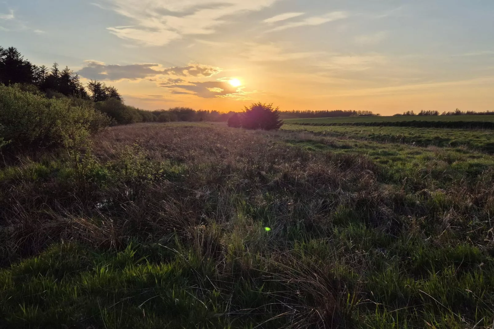4 etoiles maison de vacances a Brønderslev-Non tagué