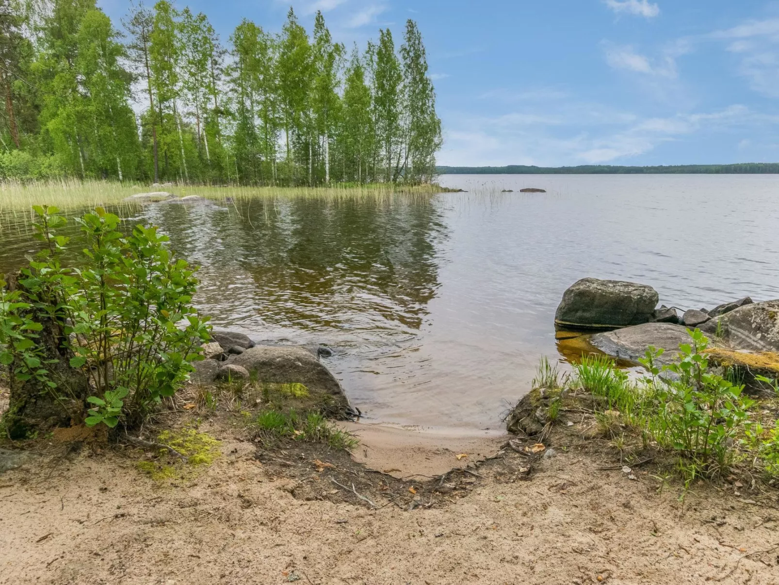 Tervapääsky-Drinnen