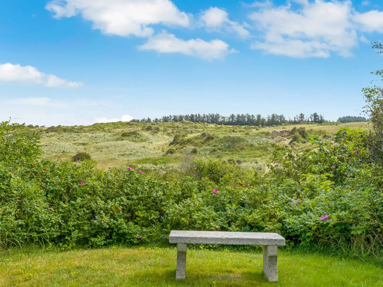 "Nikolce" - 500m from the sea-Dehors