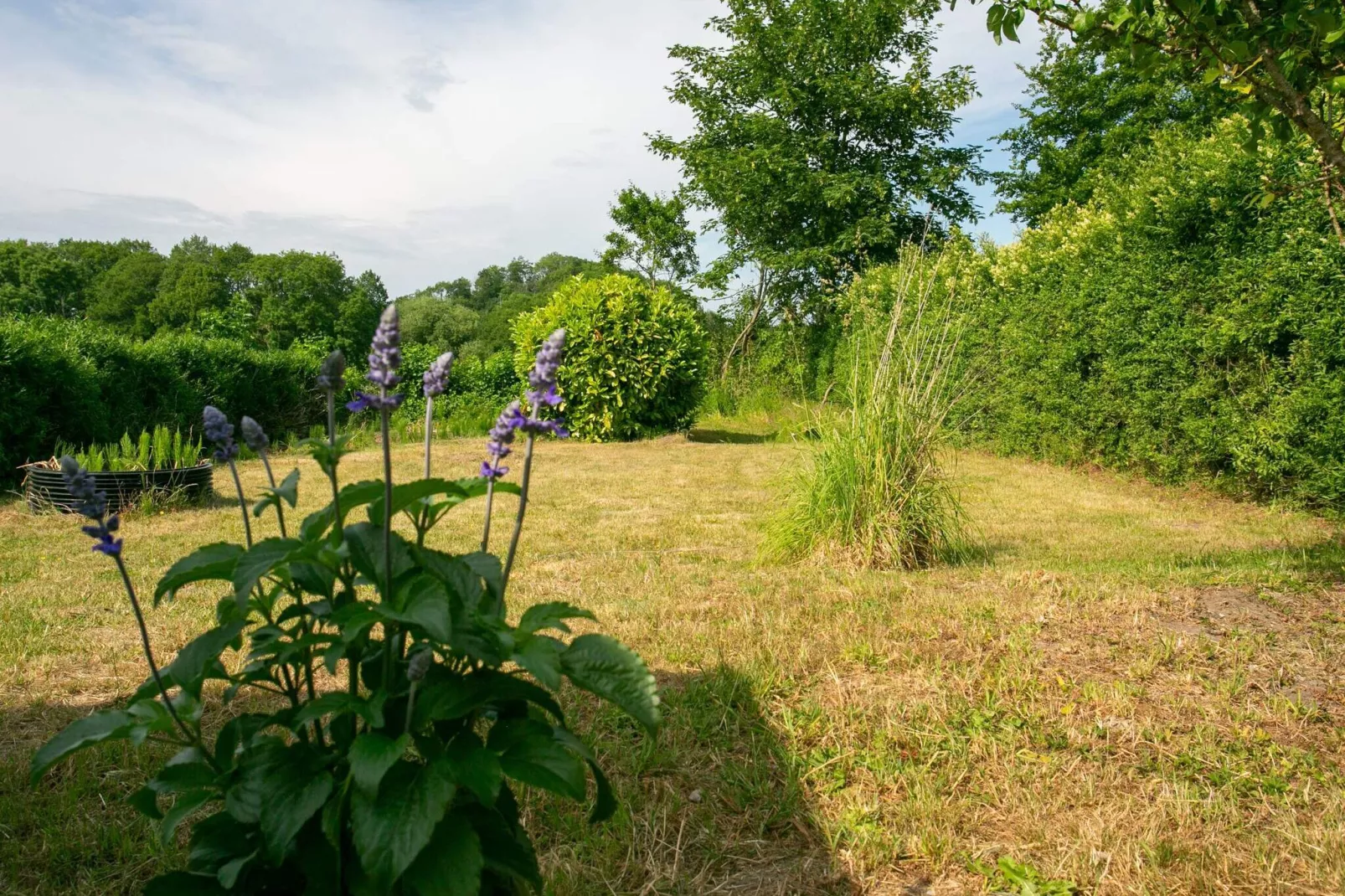 4 person holiday home in Rudkøbing-By Traum