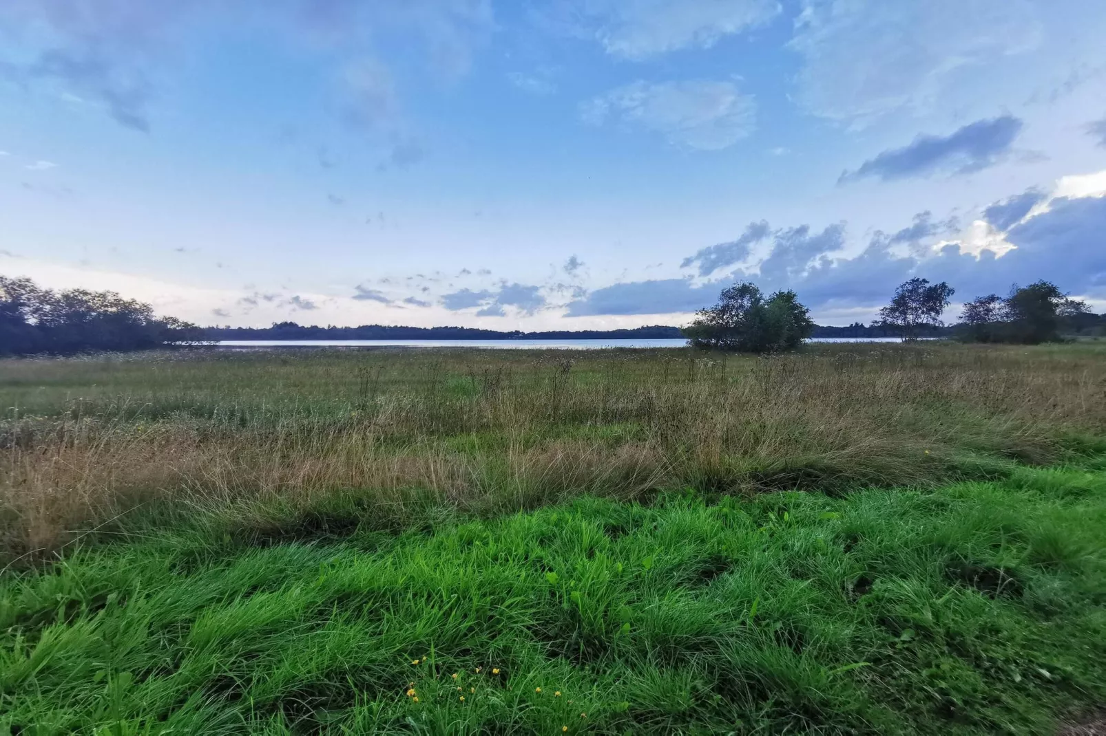 5 star holiday home in Ansager-Outdoor