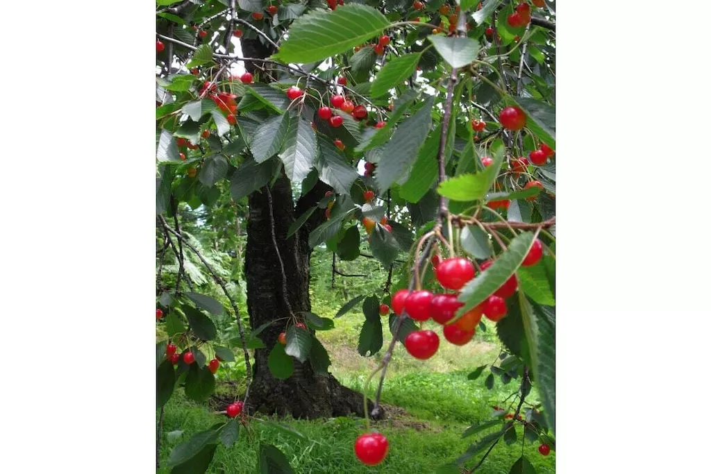 27350-Nicht zugeordnet