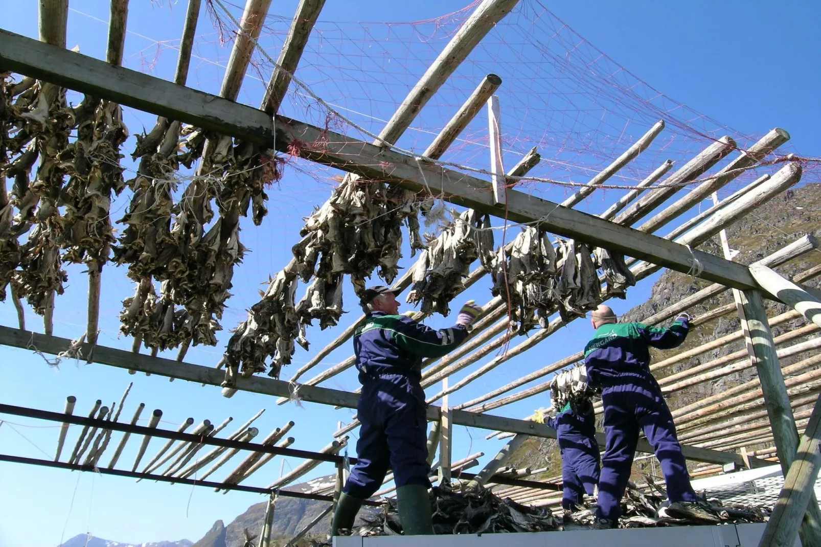 Maison de vacances pour 8 a Mølnarodden