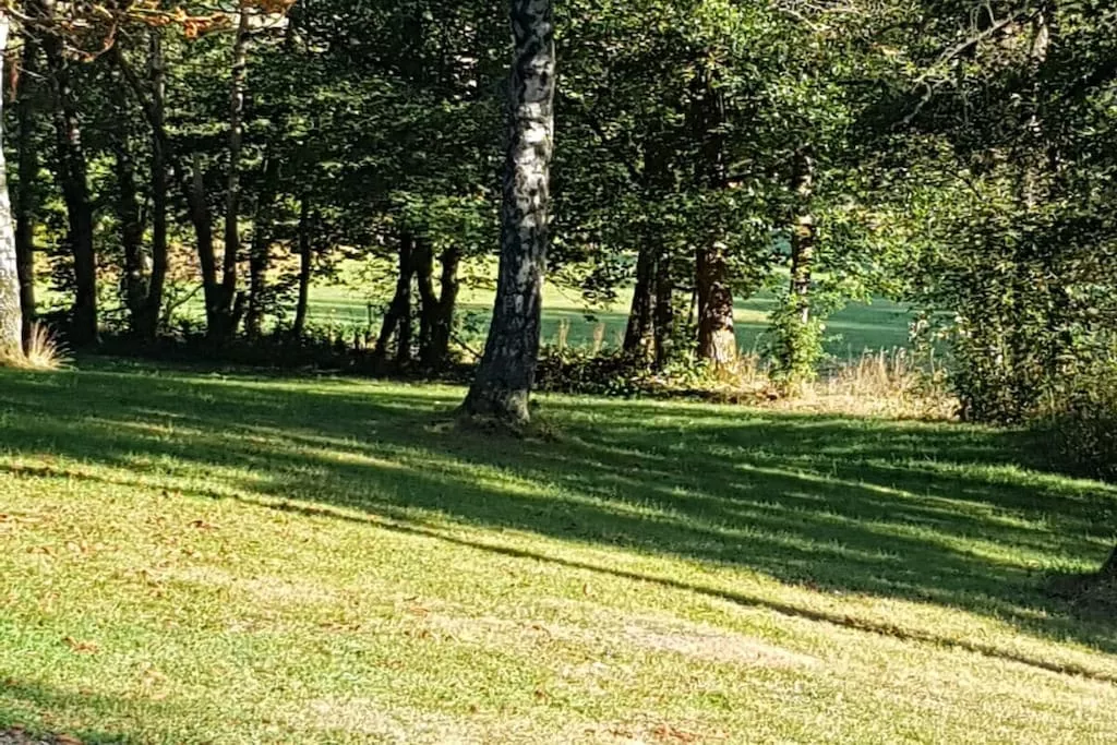 33642-Nicht zugeordnet