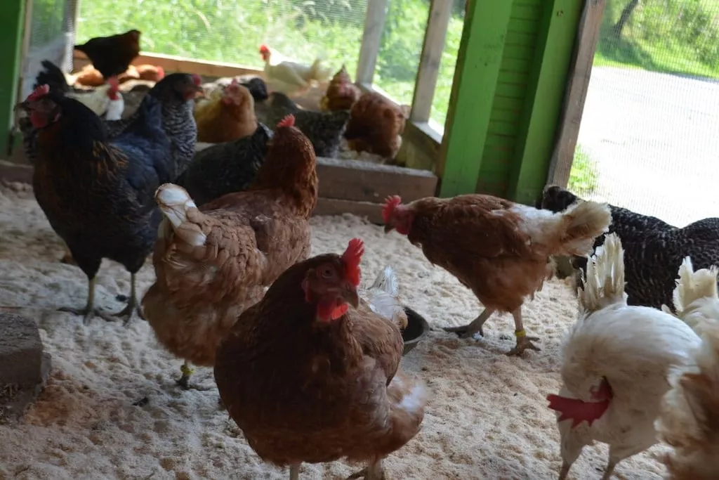 137960-Nicht zugeordnet